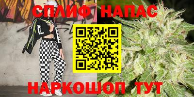 прущие грибы Ярцево
