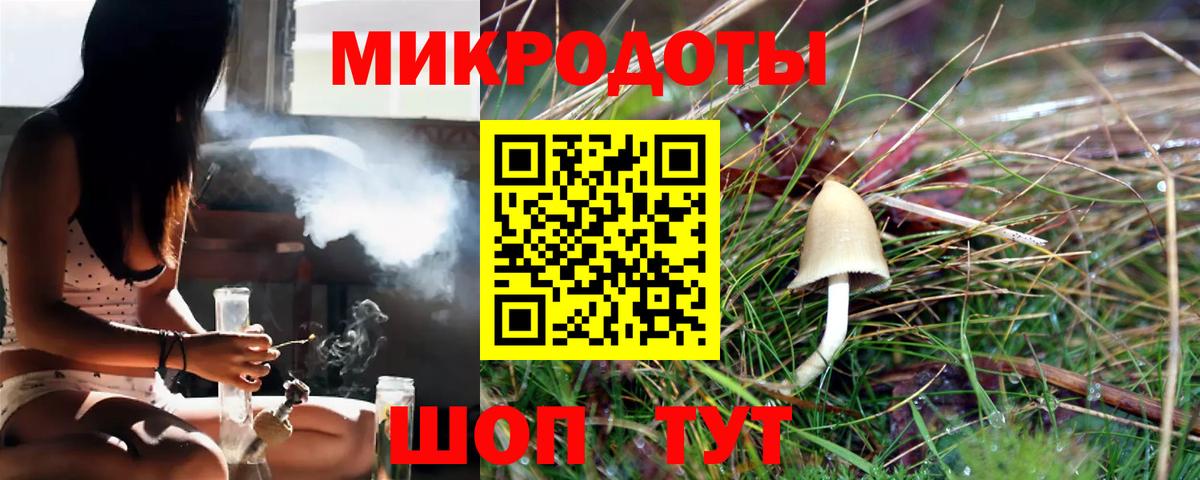 Псилоцибиновые грибы Psilocybe Чайковский
