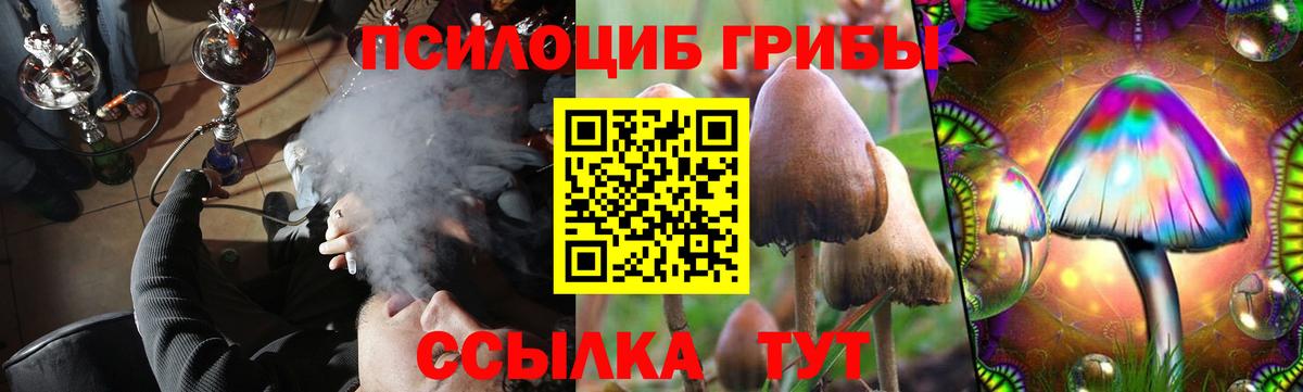 Галлюциногенные грибы Cubensis  Вход с VPN  Чайковский  Псилоцибиновые грибы мицелий 